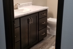 crossing spec basement bathroom